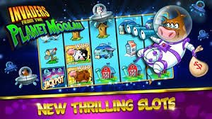 zeus88bet App zeus88bet App